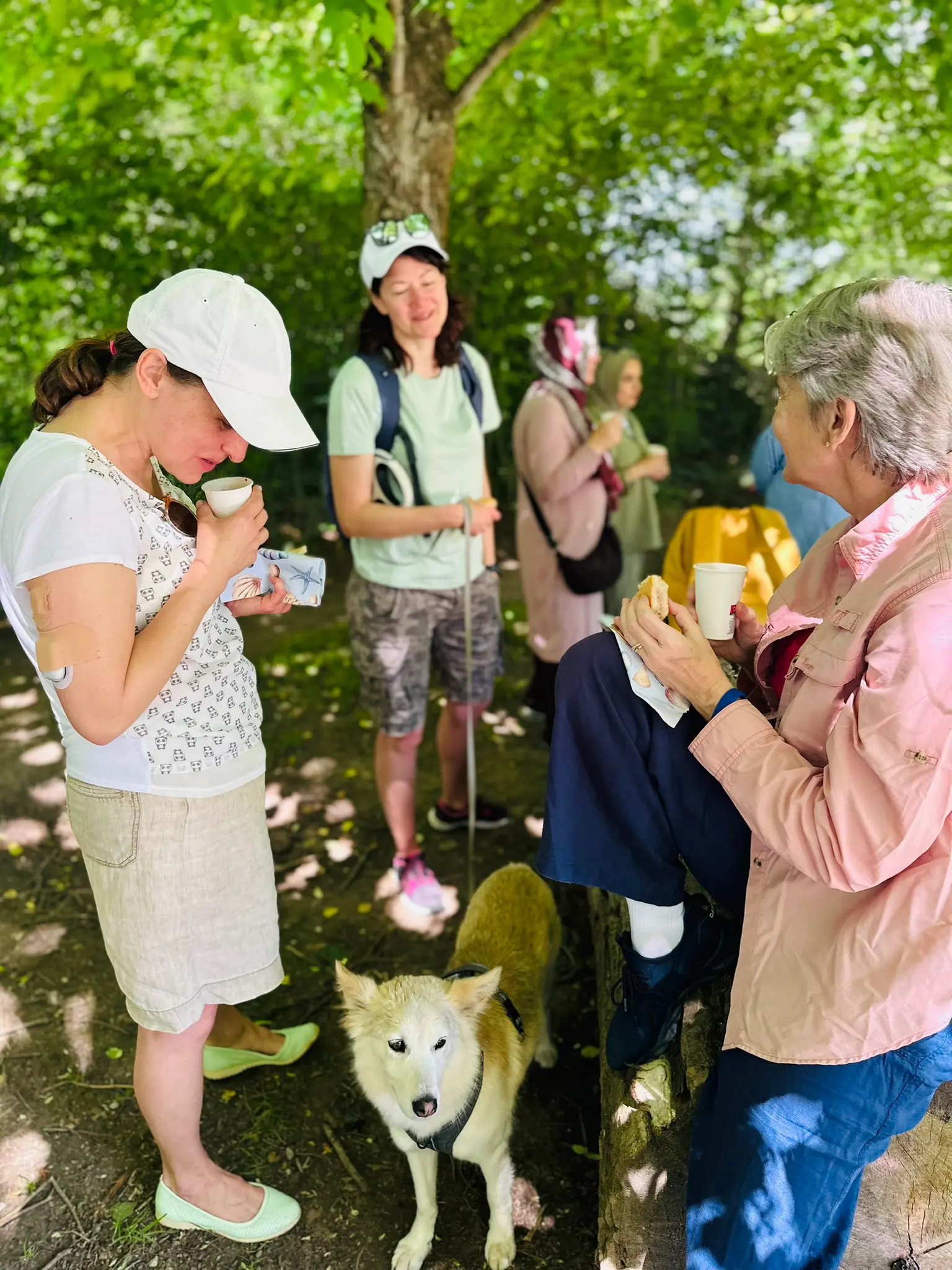 WandelMee Anderlecht 24 mei 2026 10