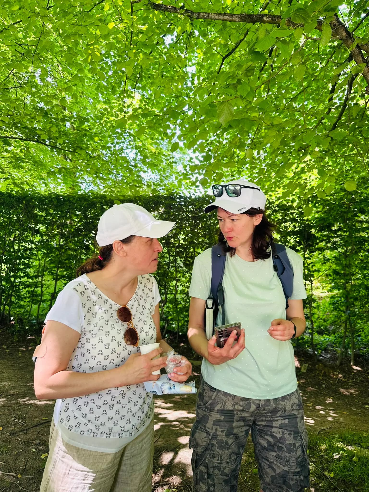 WandelMee Anderlecht 24 mei 2026 11