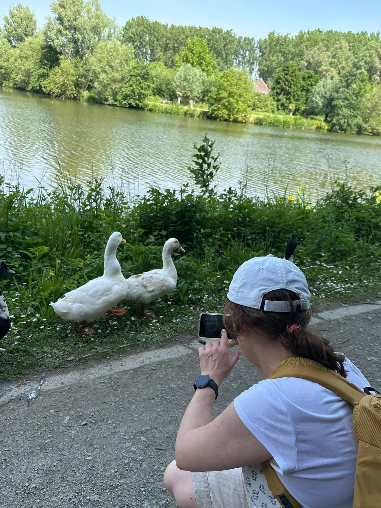 WandelMee Anderlecht 24 mei 2026 2
