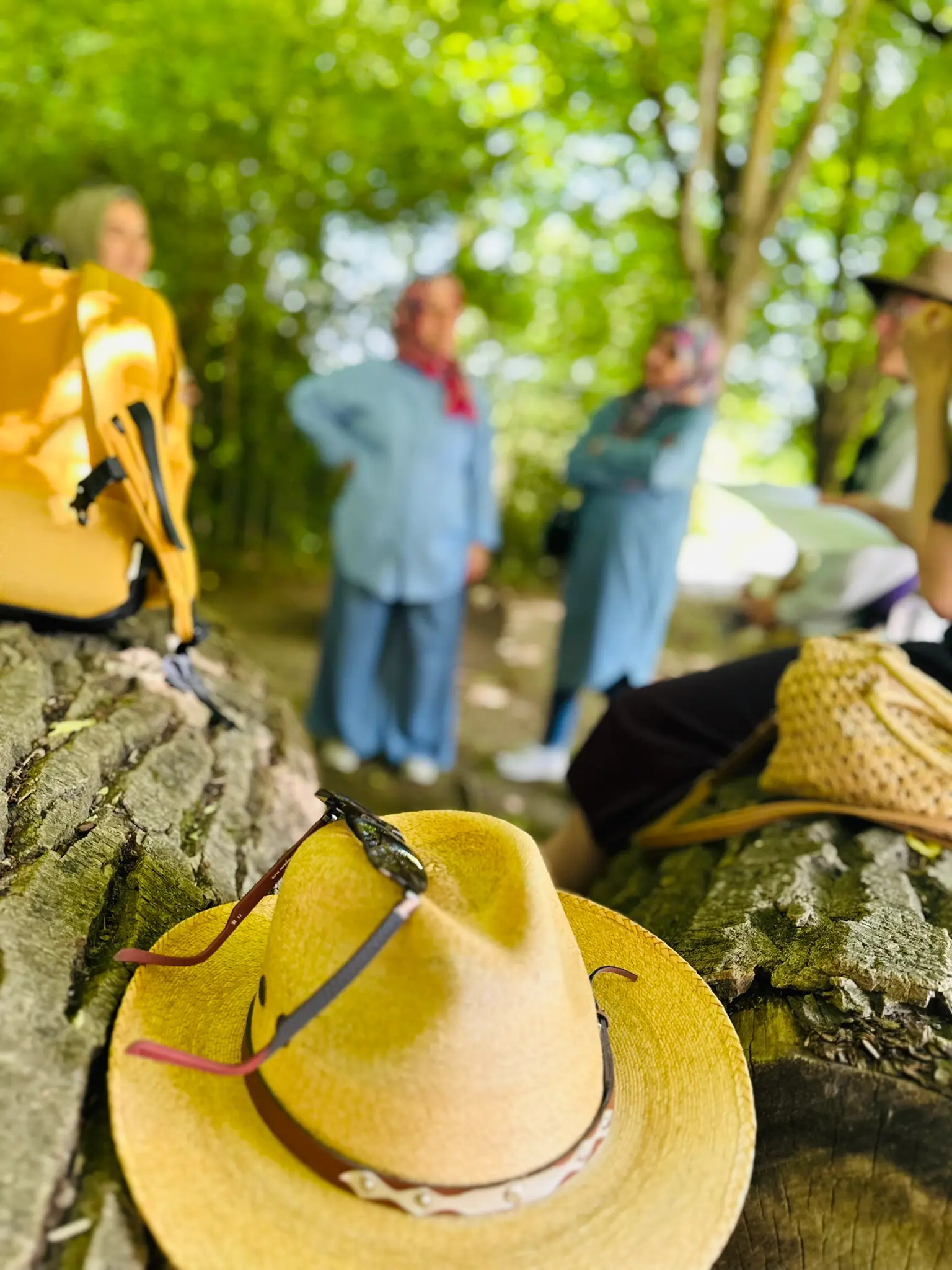 WandelMee Anderlecht 24 mei 2026 8